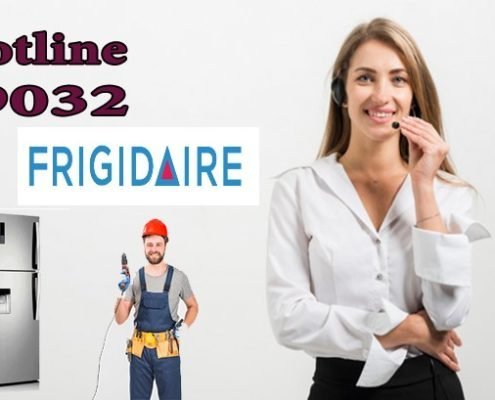 توكيل فريجيدير الاسكندرية 13