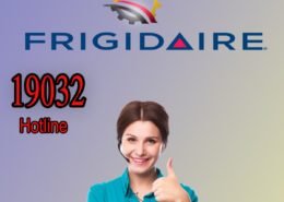 توكيل فريجيدير في مصر 1