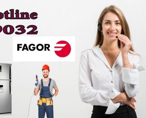 موقع شركة فاجور 6