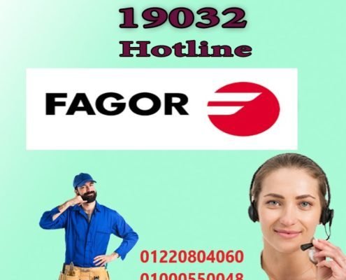 موقع شركة فاجور 10