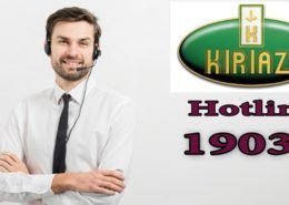 شركة كريازى 4