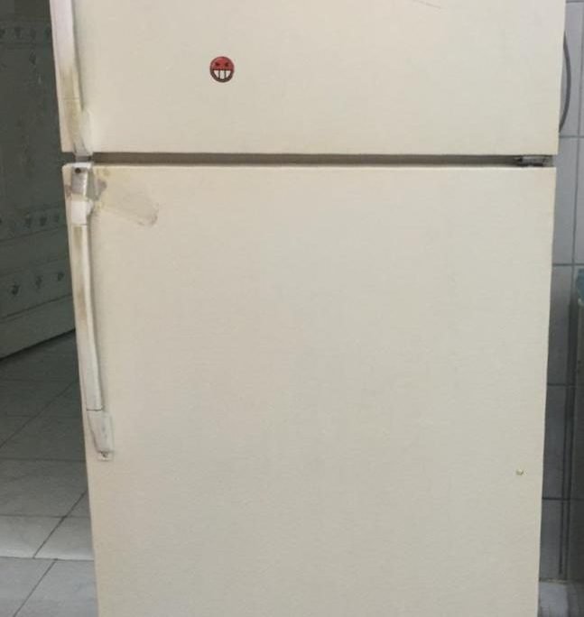 الثلاجة تجمد الخضار 2